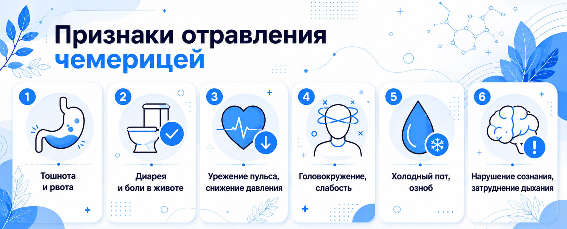 Признаки отравления чемерицей